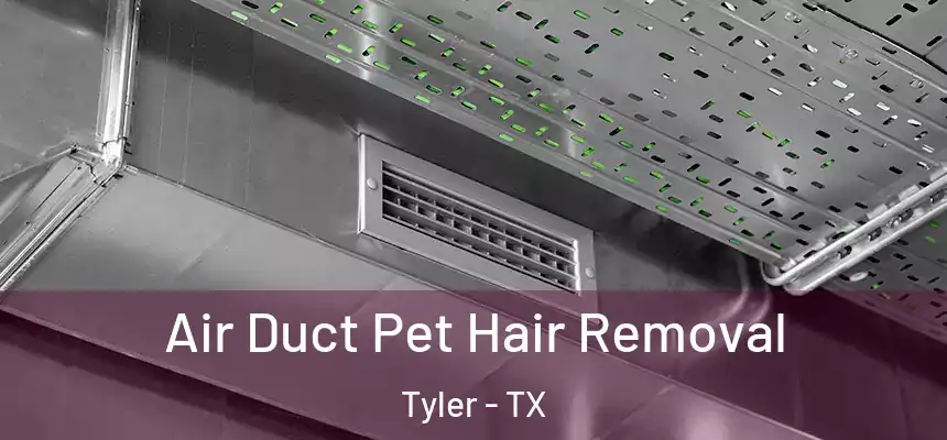  Air Duct Pet Hair Removal Tyler - TX