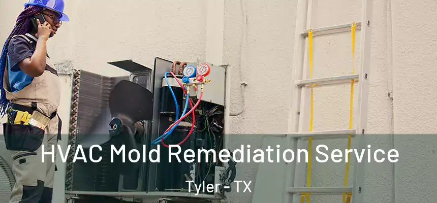  HVAC Mold Remediation Service Tyler - TX