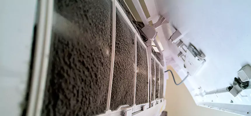 Preventive Air Duct Bacteria Removal in Tyler