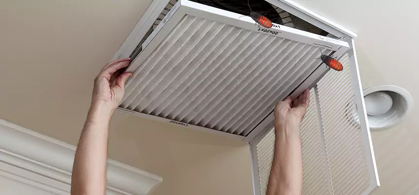 Preventive Cockroach-Proofing for Ducts in Tyler