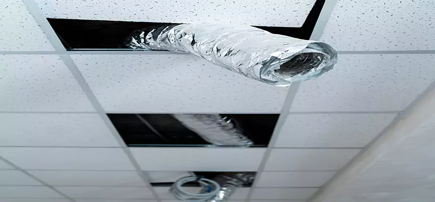 Affordable HVAC Sanitizing After Pest Removal in Tyler