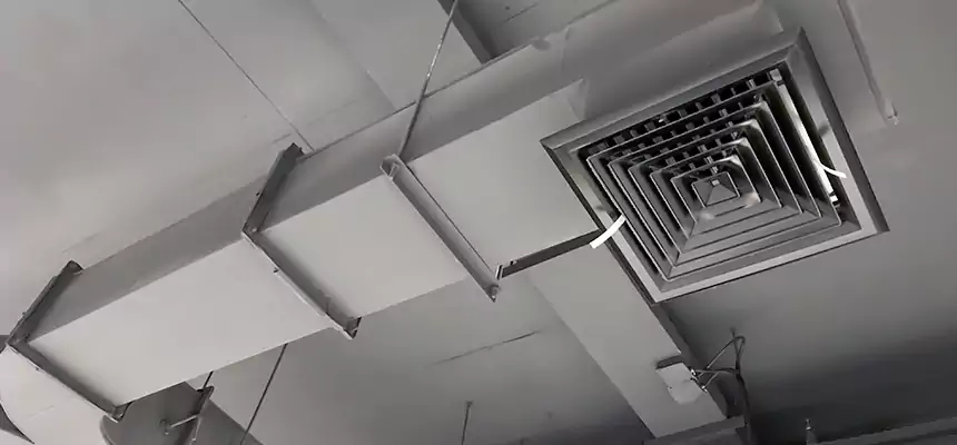 Restorative Allergy Relief Vent Cleaning – Coil, Blower & Housing Detail in Tyler