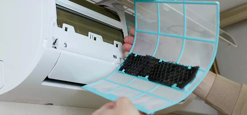 Gentle Ductwork Odor-Control Pet Dander Duct Cleaning in Tyler, TX