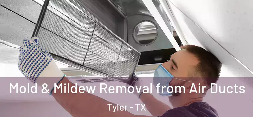  Mold & Mildew Removal from Air Ducts Tyler - TX