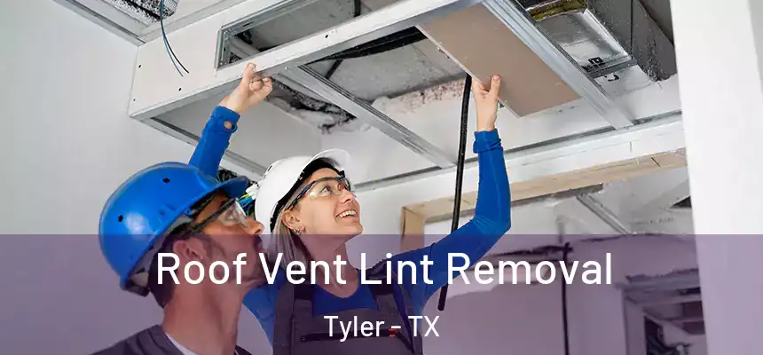 Roof Vent Lint Removal Tyler - TX