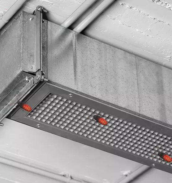 About Air Duct Cockroach Removal in Tyler, TX