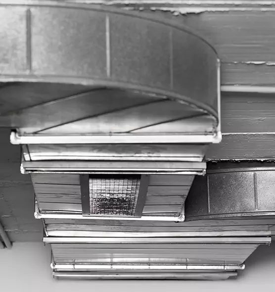 Professional Air Duct Pest Removal in Tyler, TX