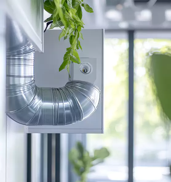 Professional Eco-Friendly Duct Cleaning Services in Tyler, TX