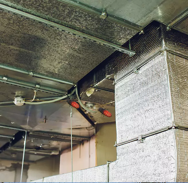 Why Homeowners & Businesses Trust Us in Tyler, TX?