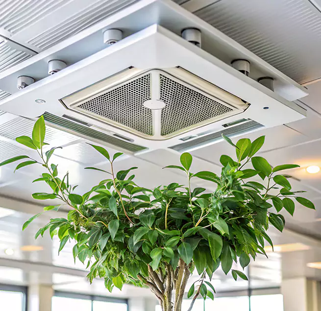 Why Homeowners & Businesses Trust Us in Tyler, TX?