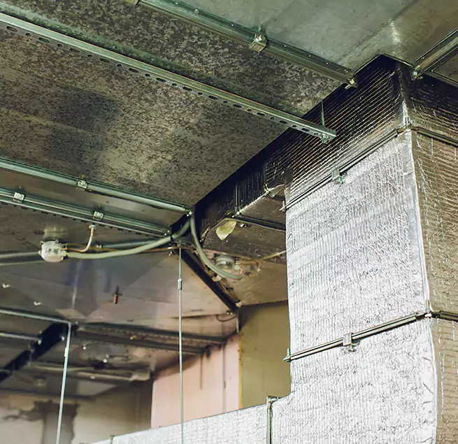 Why Homeowners & Businesses Trust Us in Tyler, TX?